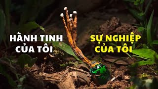 Doanh nghiệp ESG cần biết điều này! Our Planet: Our Business