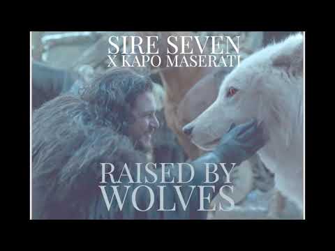 Sire Seven x Maserati Kapo- Raised By Wolves