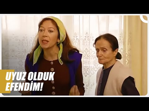 Bırakın Çatlasınlar! | Ayla Hanım Efsane Sahneler