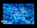 JOYCE LANGAT CHITAB KOKWET OFFICIAL LYRICS