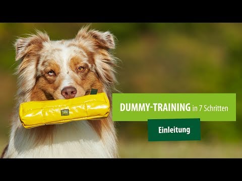 Dummytraining 🐶 Hund trainieren 🐾 Einleitung der 8-teiligen Serie