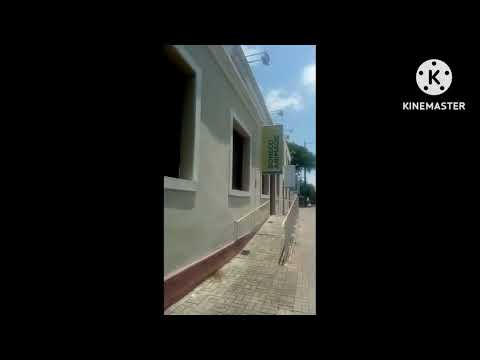 São José dos Pinhais-PR.