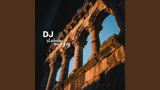 Download lagu Dj Slebew pargoy mp3