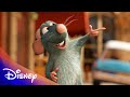Ratatouille 15th Anniversary Compilation Disney