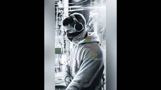 Paul Wall , Gorilla Zoe &amp; Young Joc - Fly