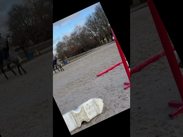 Jument PR&Eacute; 5 ans