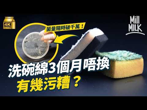#MM｜洗碗綿幾耐要換一次？實測用7日 試勻坊間常用5款洗碗工具 含菌量仲多過廁所板？PolyU食品安全教授親授 延長洗碗綿壽命5個簡單步驟！｜#Weekly_pedia #4K