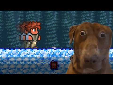Man attempts to beat ALL Terraria Bosses without dying ONCE.