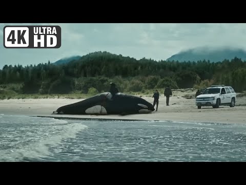 THE SWARM - Official Trailer English (2023) 4K-ULTRA HD