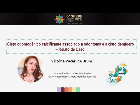 VI SIIEPE - UFPEL - VICTÓRIA VACARI DE BRUM