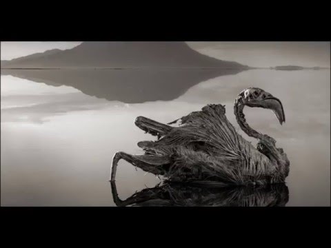 download lagu mp3 mp4 Varttina Discography, download lagu Varttina Discography gratis, unduh video klip Download Varttina Discography Mp3 dan Mp4 Popular Gratis