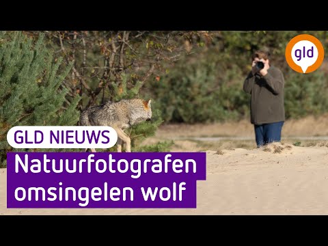 GLD Nieuws 7 oktober 2022