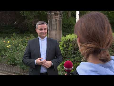 Einordnung von Generalvikar Dr. Markus Hofmann zur Apostolischen Visitation