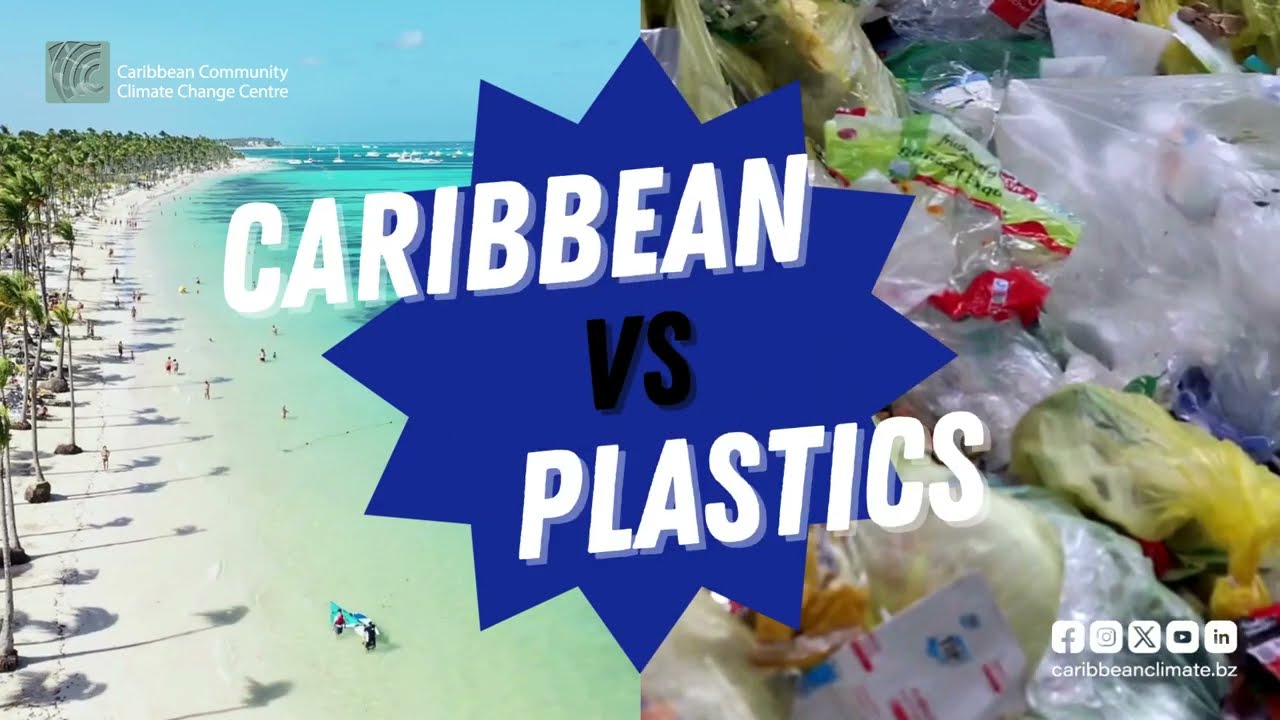 Caribbean Vs Plastics