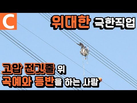 아이콘