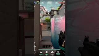 VIPER ULT Simply Wasted