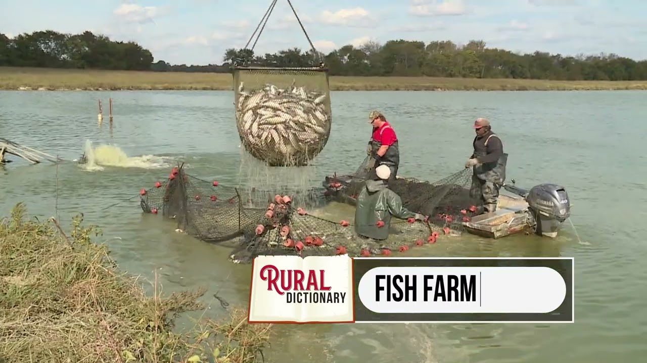 Rural Dictionary General Farming 820