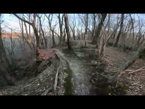 Vito d’asio dh , un po’ umida