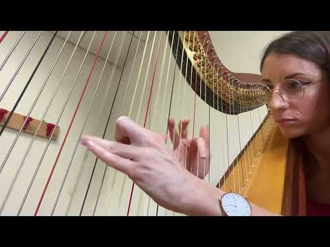 Etude n. 7 - Wilhelm Posse