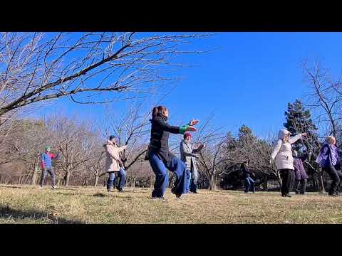 Tai Chi in Gradina Japoneza I Academia Artasia