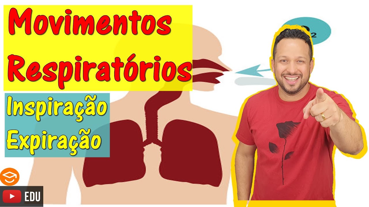 Movimentos Respiratórios - Inspiração e Expiração - Sistema Respiratório - Fisiologia Humana