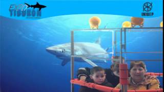 DIA 3 Expo Tiburon118