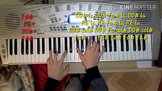 Survivor Tim Halperin piano tutorial + note