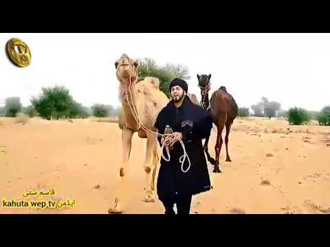 Duniya Dadi Asi aa maare(Saif ul malook