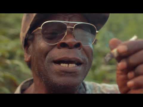 King Kong x Massive B - The Herb (Official Music Video)