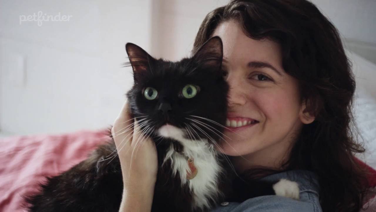 Enlarge Keiler- Prod test not adoptable, an adopted mixed breed in Bettles, AK video 3/3