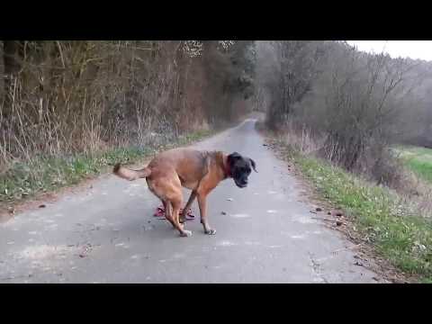 Donnerstag, 28.03.2019