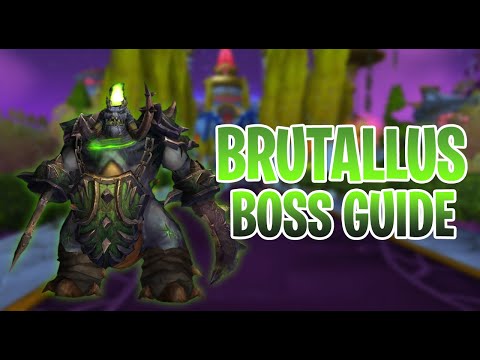 BRUTALLUS BOSS GUIDE - SUNWELL PLATEAU