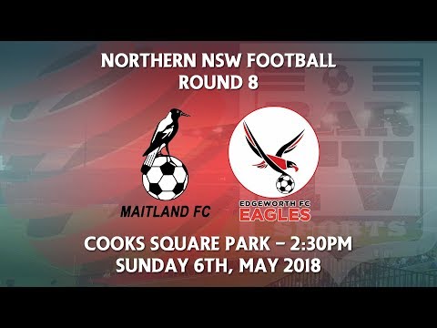 2018 NNSWF NPL Round 8 - Maitland Magpies FC v Edgeworth Eagles FC