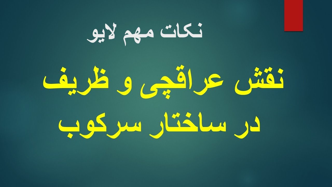 نقش عراقچی وظریف در ساختار سرکوب/ نکات مهم لایو