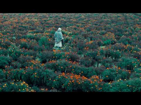 THE CALF DOLL trailer | BFI London Film Festival 2026 – 7-18 October