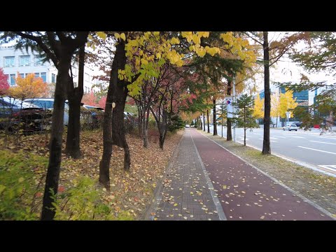 [4K] Daejeon, Coreia - Perto da estação da prefeitura - Cores do outono nas ruas