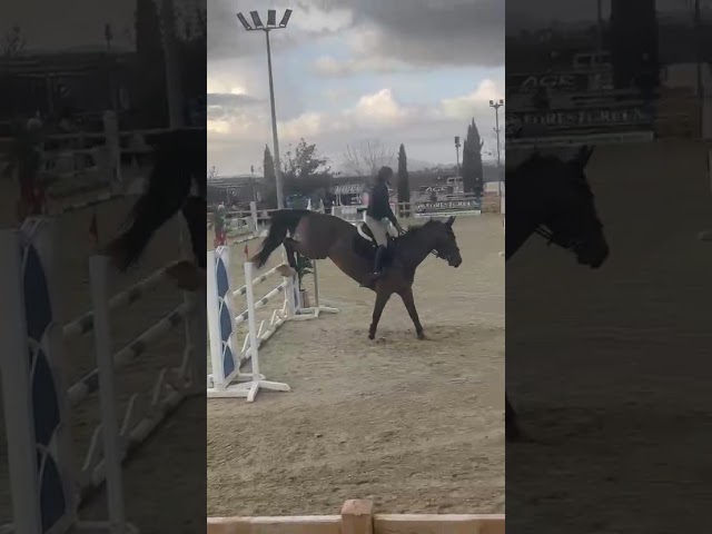 Caballo de salto