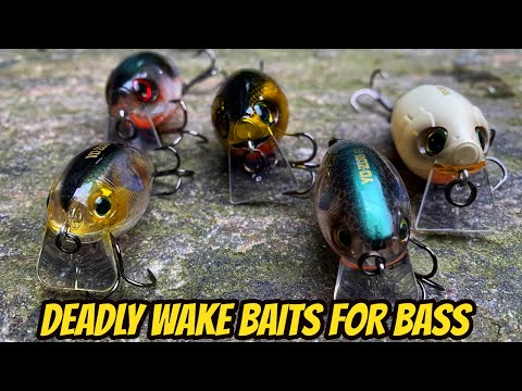 WAKE BAIT TEASER- Deadly Technique That Catches Bass!