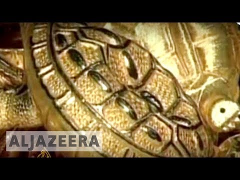 South Korea marks unhappy anniversary of Asia's financial crisis