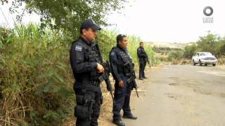 México Social - La inseguridad: Perspectivas 2016 (23/02/2016)