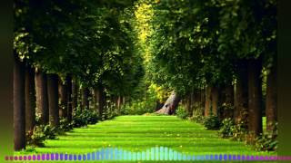 Sonnengruss - Storyteller (Vijay & Sofia Remix)