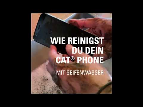 So reinigen sie ihr Cat phone mit Seife