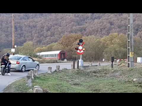 Trenuri de toamnă în Defileul Crișului Repede Vadu Crișului-Suncuiuș