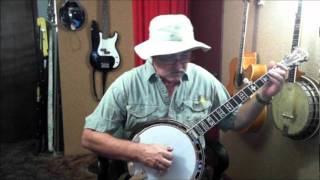 Yellow-Backed Fly.wmv