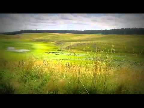 Pensiuni Paltinis - Cazat.ro