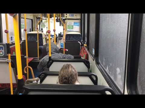 Transit Systems Sydney 2415 ST - Scania K280UB (ZF Ecomat)