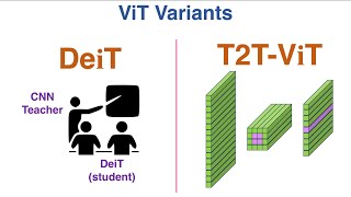 Variants of ViT: DeiT  and T2T-ViT