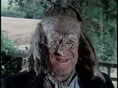 Worzel Gummidge's Collection Of Heads