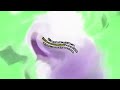 Klasky Csupo Effects 2 In G Major 58