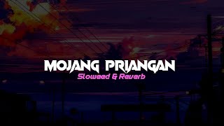 Download lagu DJ MOJANG PRIANGAN ( Sloweed & Reverb ) mp3 Download lagu DJ MOJANG PRIANGAN ( Sloweed & Reverb ) mp3